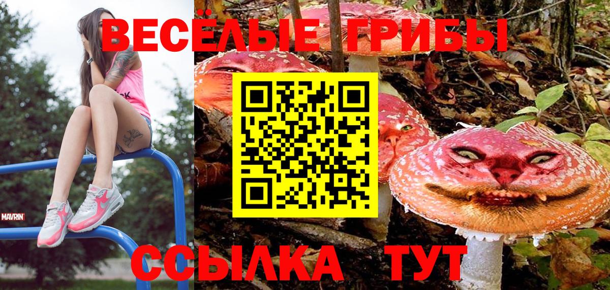 Галлюциногенные грибы Cubensis Дмитров