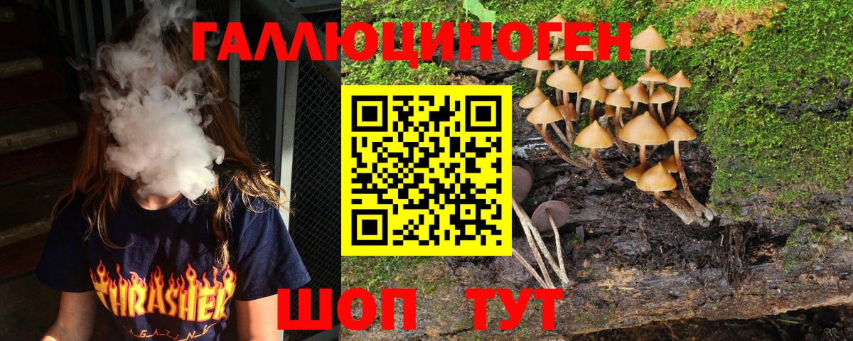 Галлюциногенные грибы GOLDEN TEACHER  купить   Дмитров  Вход с VPN 